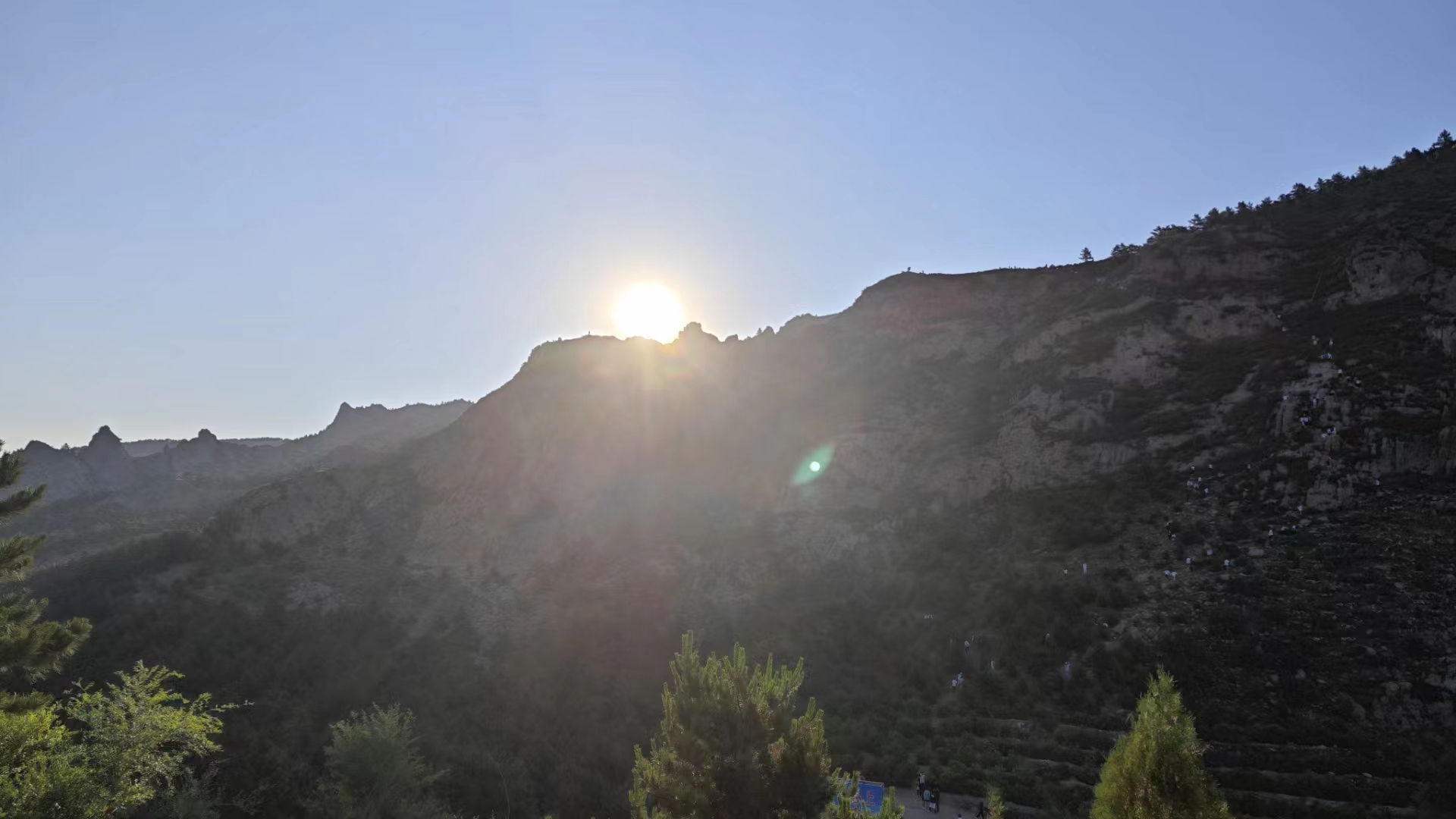 端午节艾草节,五月端午艾草香