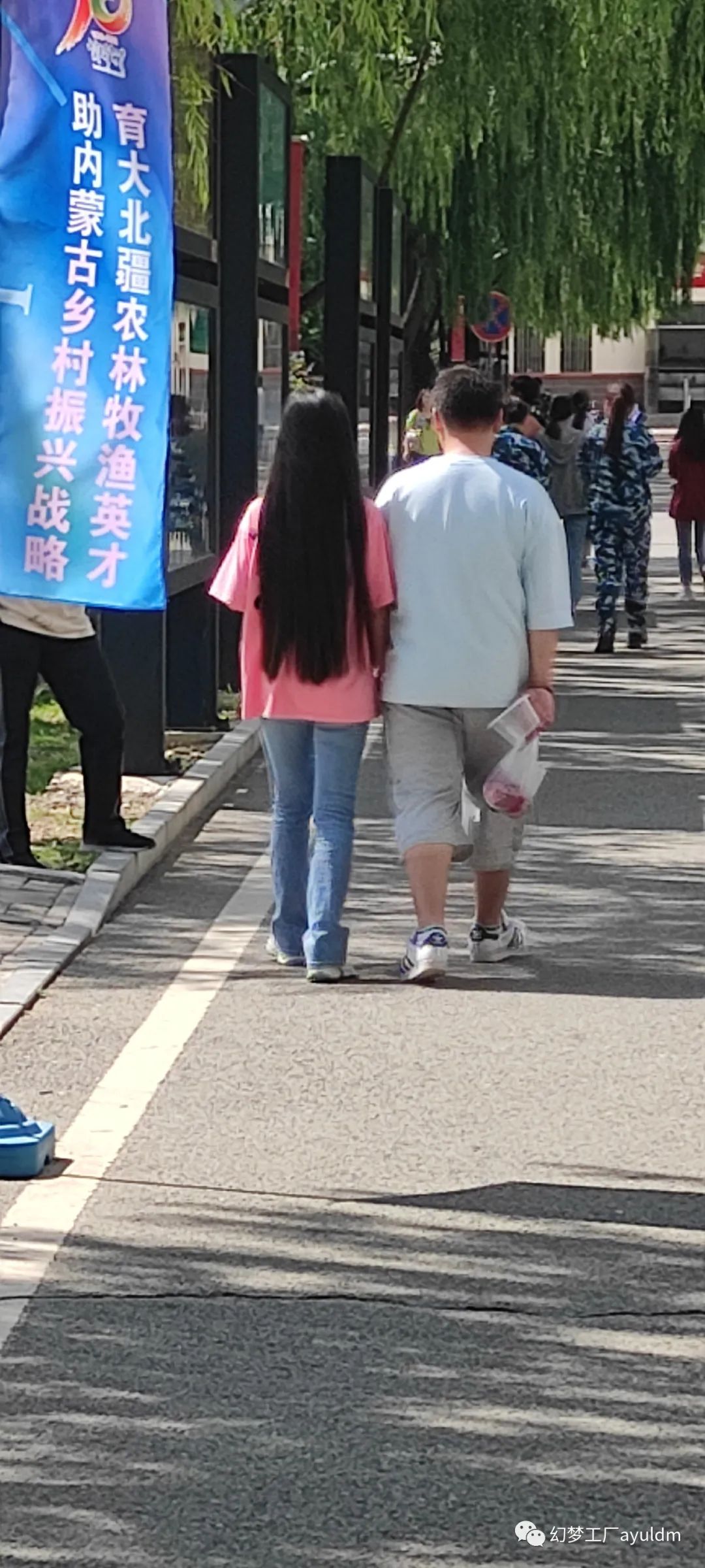 你好母校作文800字,你好母校作文