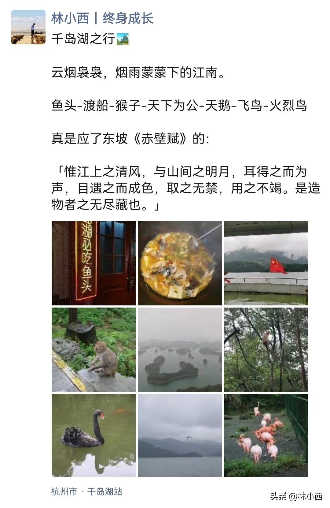 2023年度书单52本精选好书,年终盘点这一年不能错过的好书