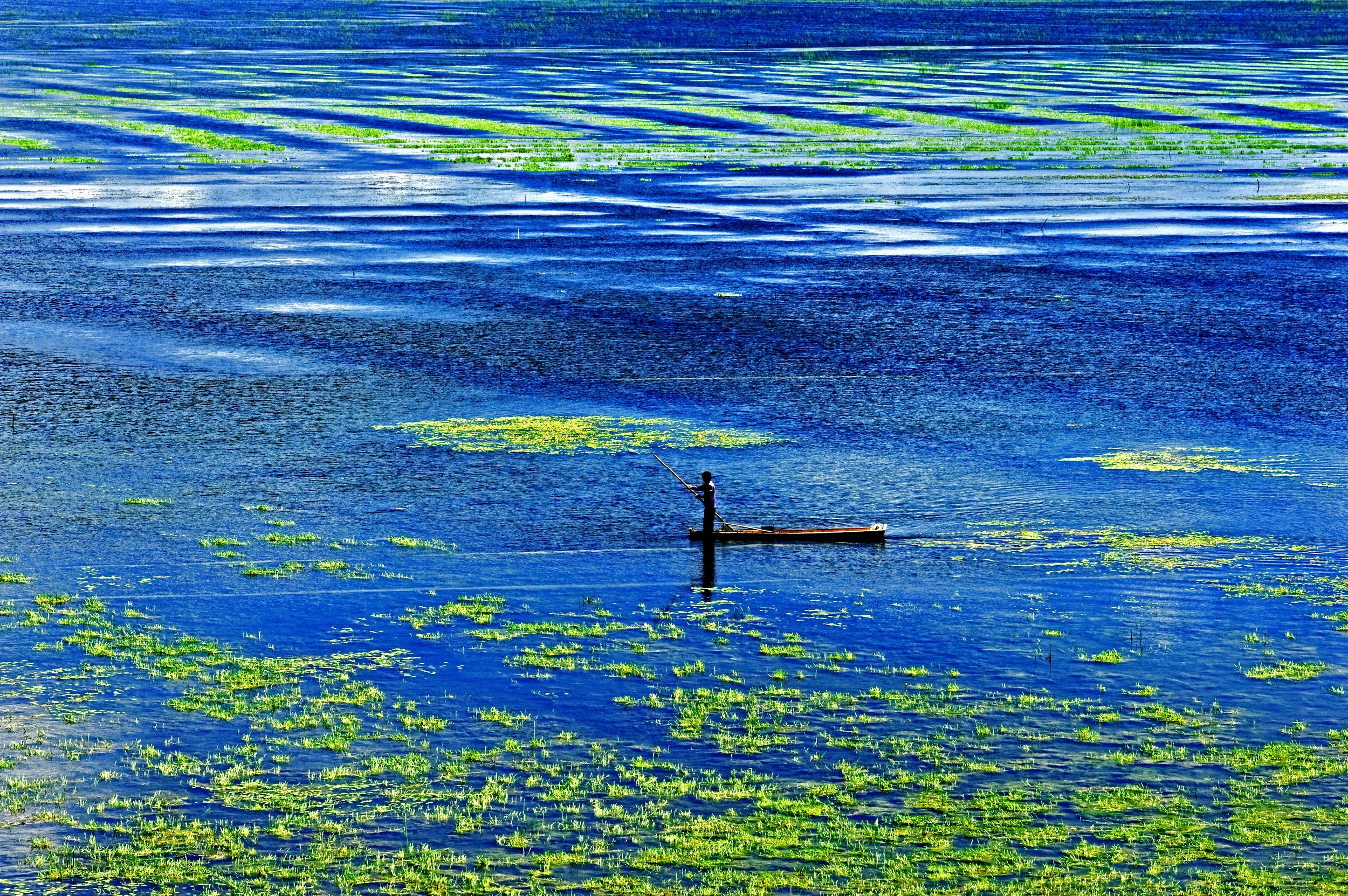 贵州诚邀天下客来贵州避暑,避暑胜地花海毕节