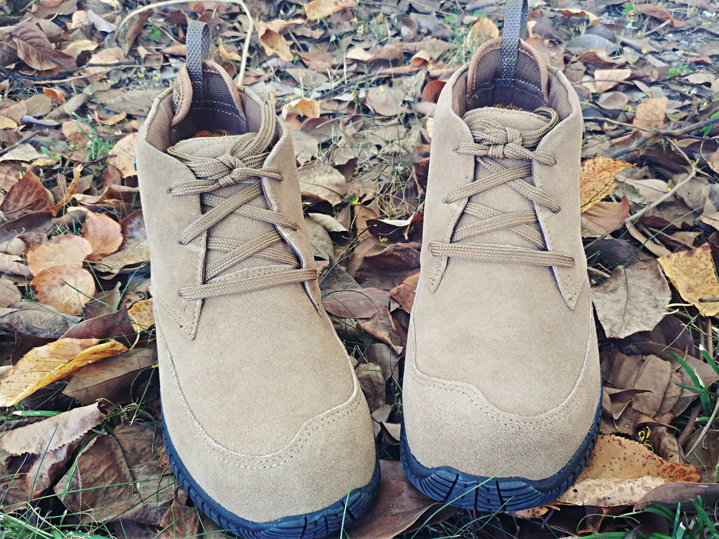 閬ㄦ父浠昹3鍜宭3n,閬ㄦ父浠曠櫥灞遍瀷l3鍜宭1