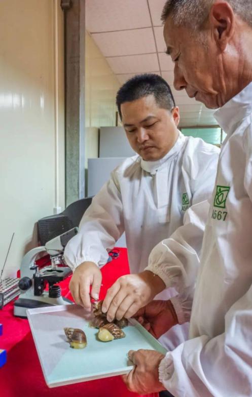 蜗牛可以做花肥吗,蜗牛做美容产品