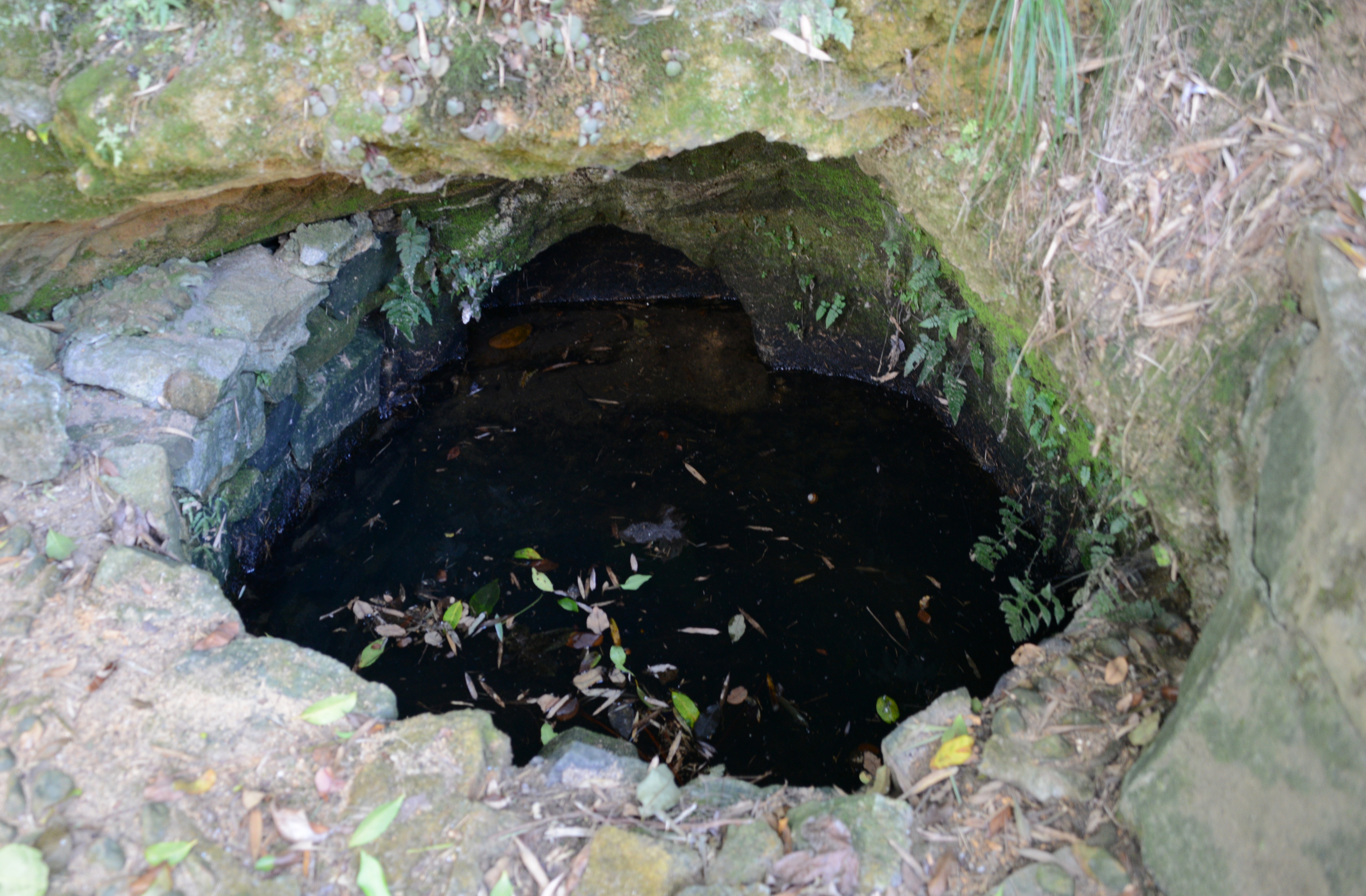 觅苏记,觅苏记宜兴海棠