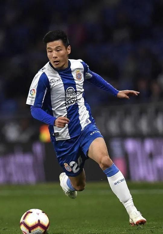 中国曾效力欧洲五大联赛的球员,中国有哪些球员在五大联赛进过球