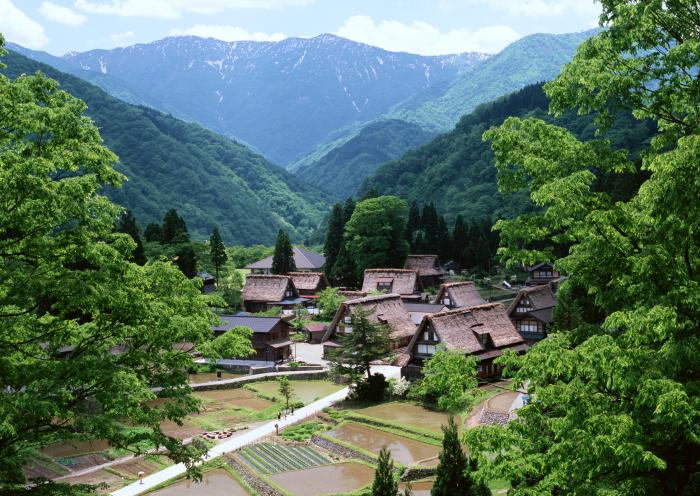 精短小说,精短小说完结