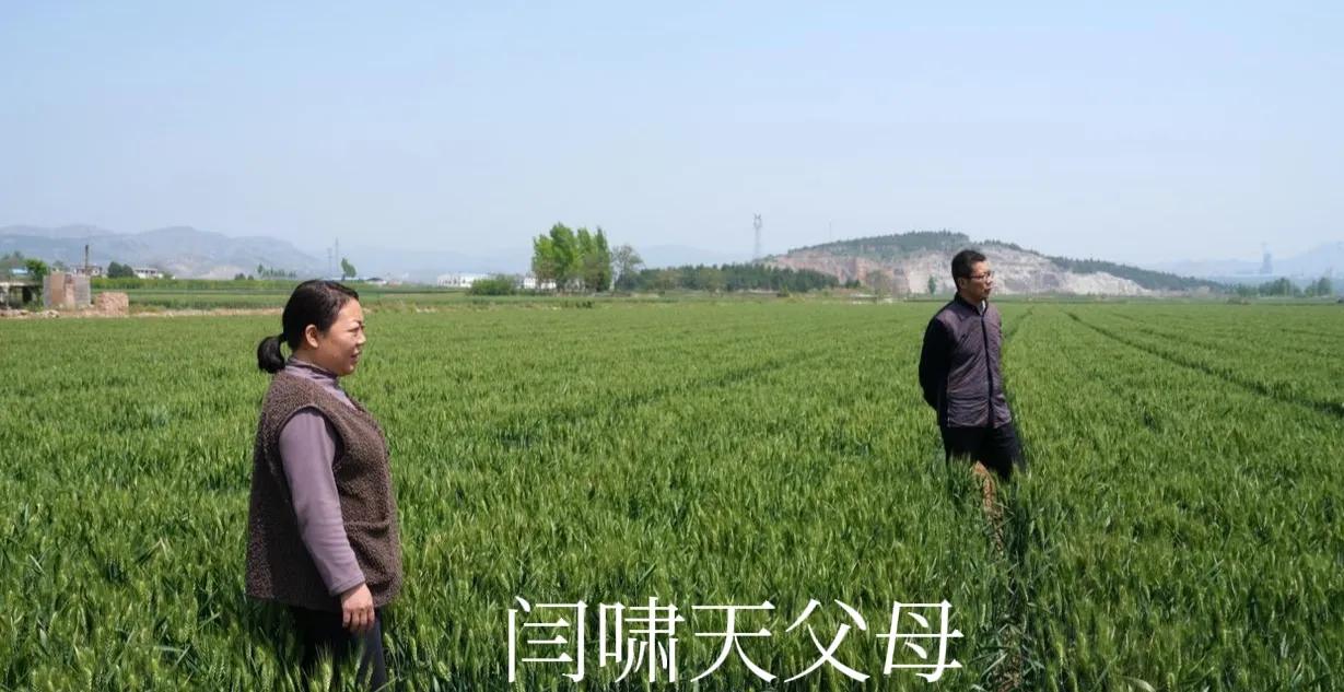 小伙掏鸟窝被判十年,小伙上树掏鸟被判十年