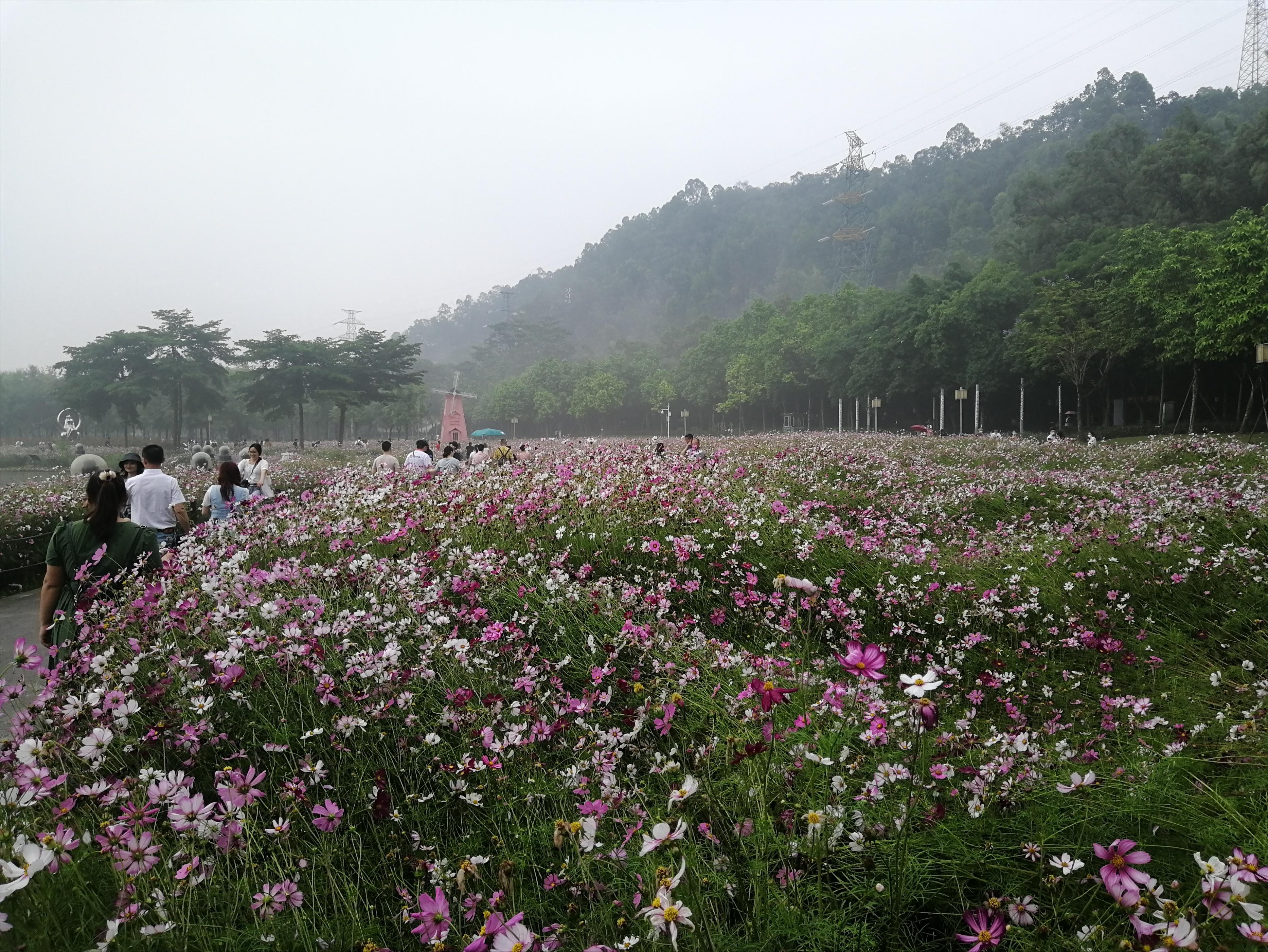 打卡广州地铁7号线,打卡广州最美7公里