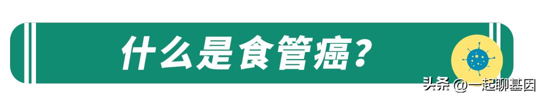 食物到底要不要趁热吃,食物趁热吃真的对吗有什么危害