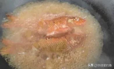 肉质金黄的鲤鱼是什么养出来的,鲤鱼什么品种好养又好看