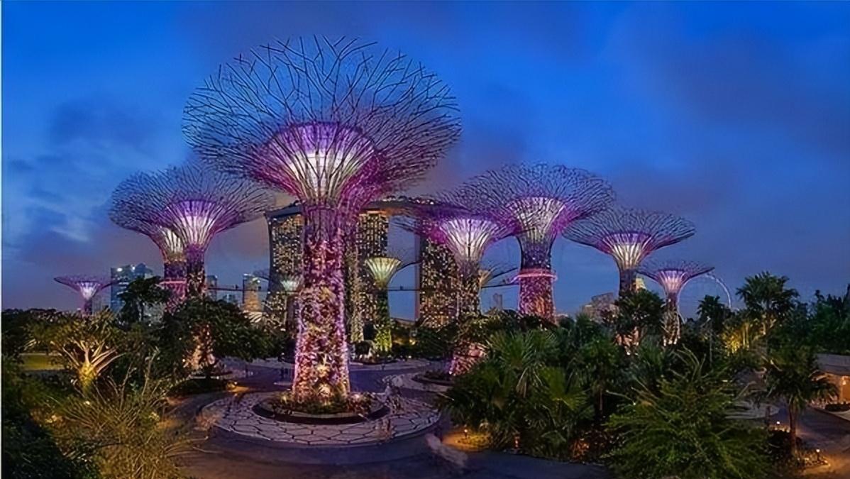 滨水休闲产业全球考察之旅(十一)新加坡滨海湾花园的新颖创意