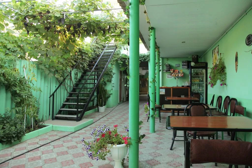 最舒服简单的农家小院,自建房三开间农家小院布局