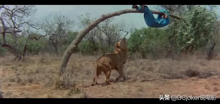 好莱坞十大喜剧电影,好莱坞喜剧电影十大巅峰之作