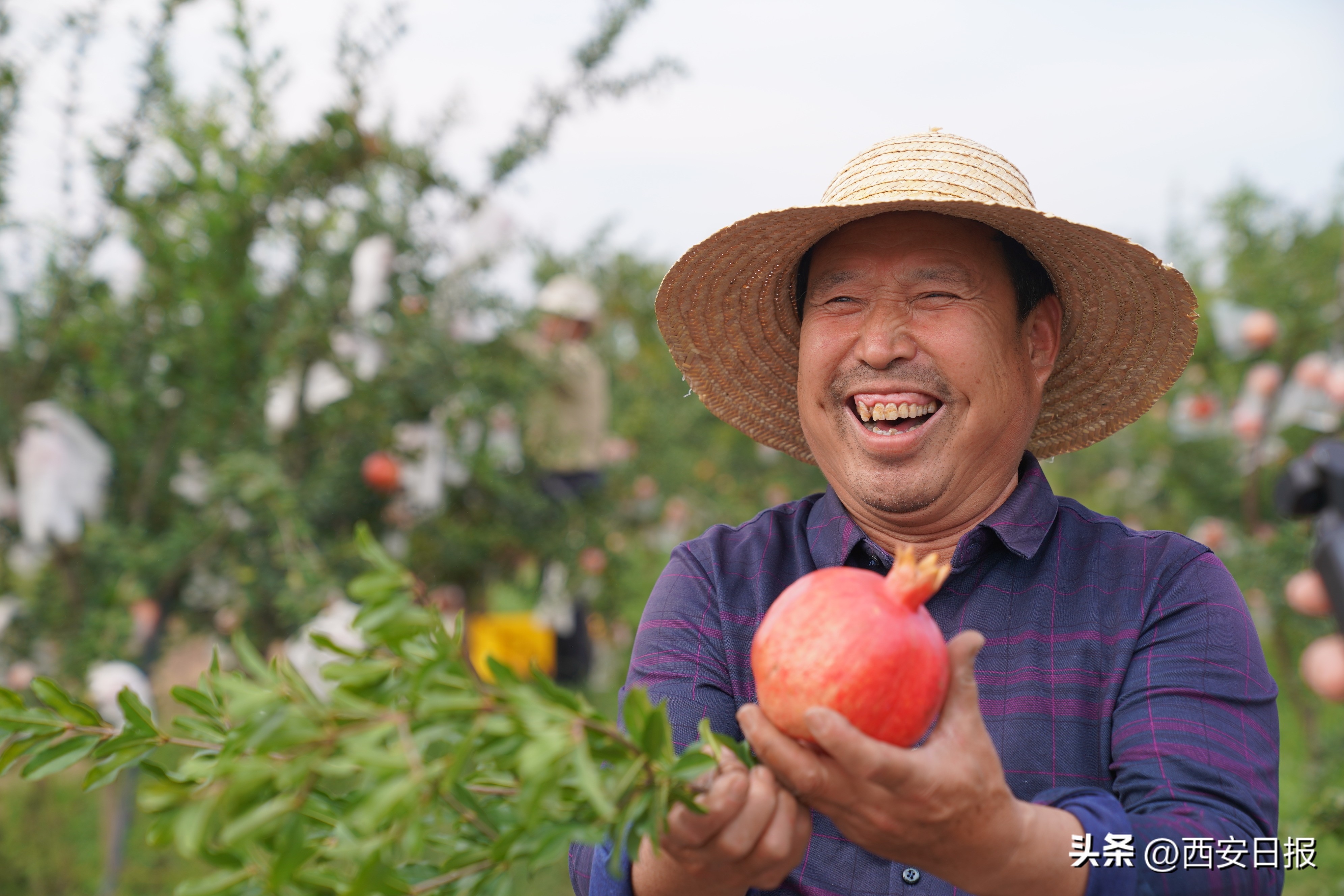 陕西名优新农产品展销会,陕西名优新特产品
