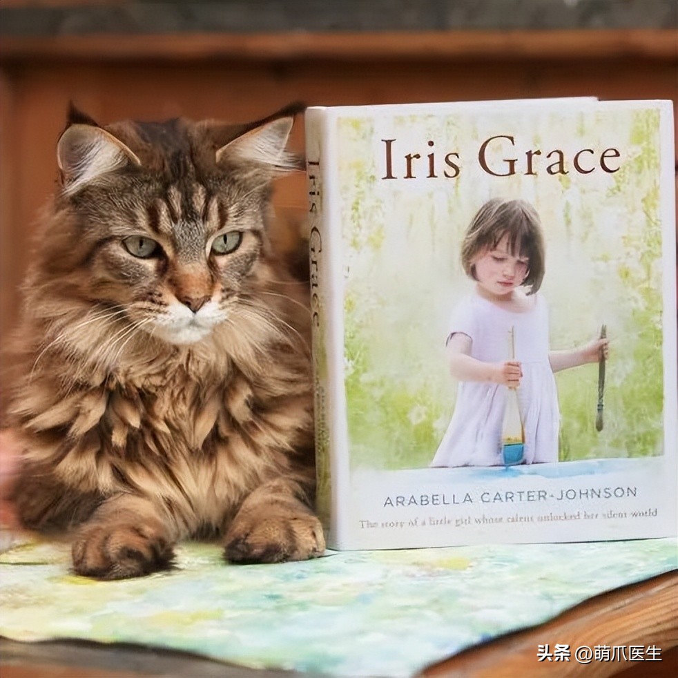 狸花猫也能治病?天才少女如何蜕变成百万级画家