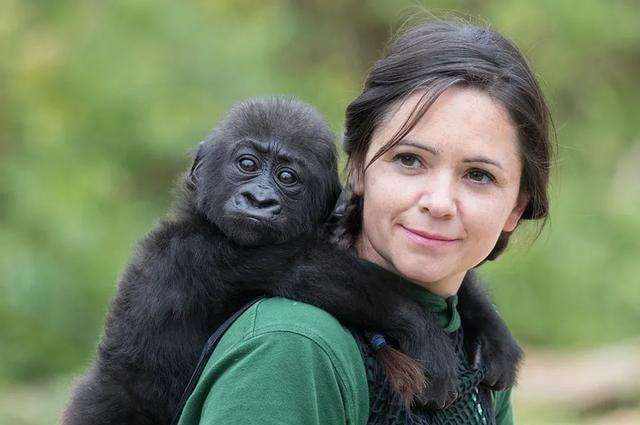 人类进化毛发少的好处,人类毛发进化为什么保留鬓角