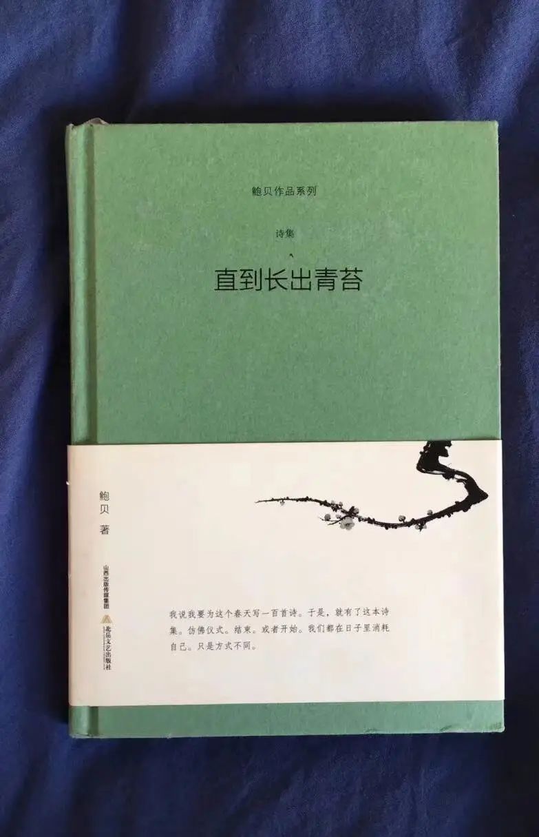 在腰封上“捡漏”金句，哪句让你想翻开它？