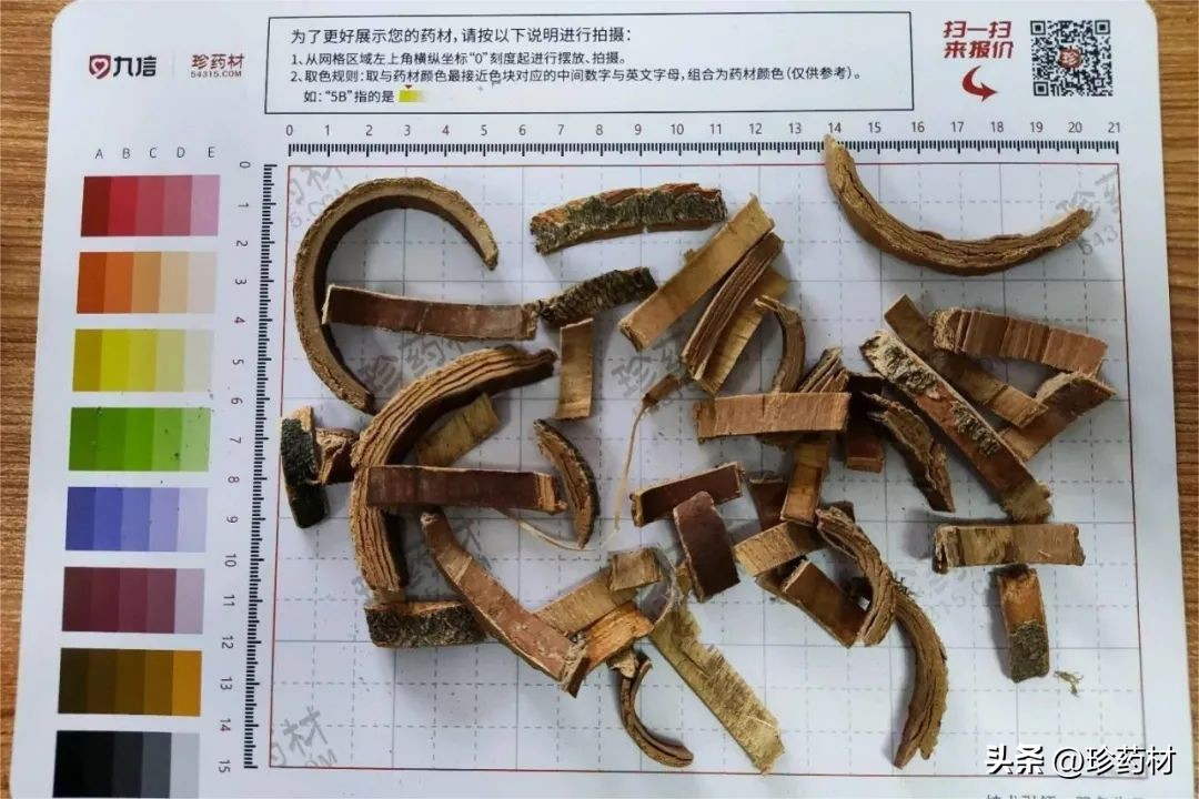 中草药苍术市场行情,中药材苍术行情直播