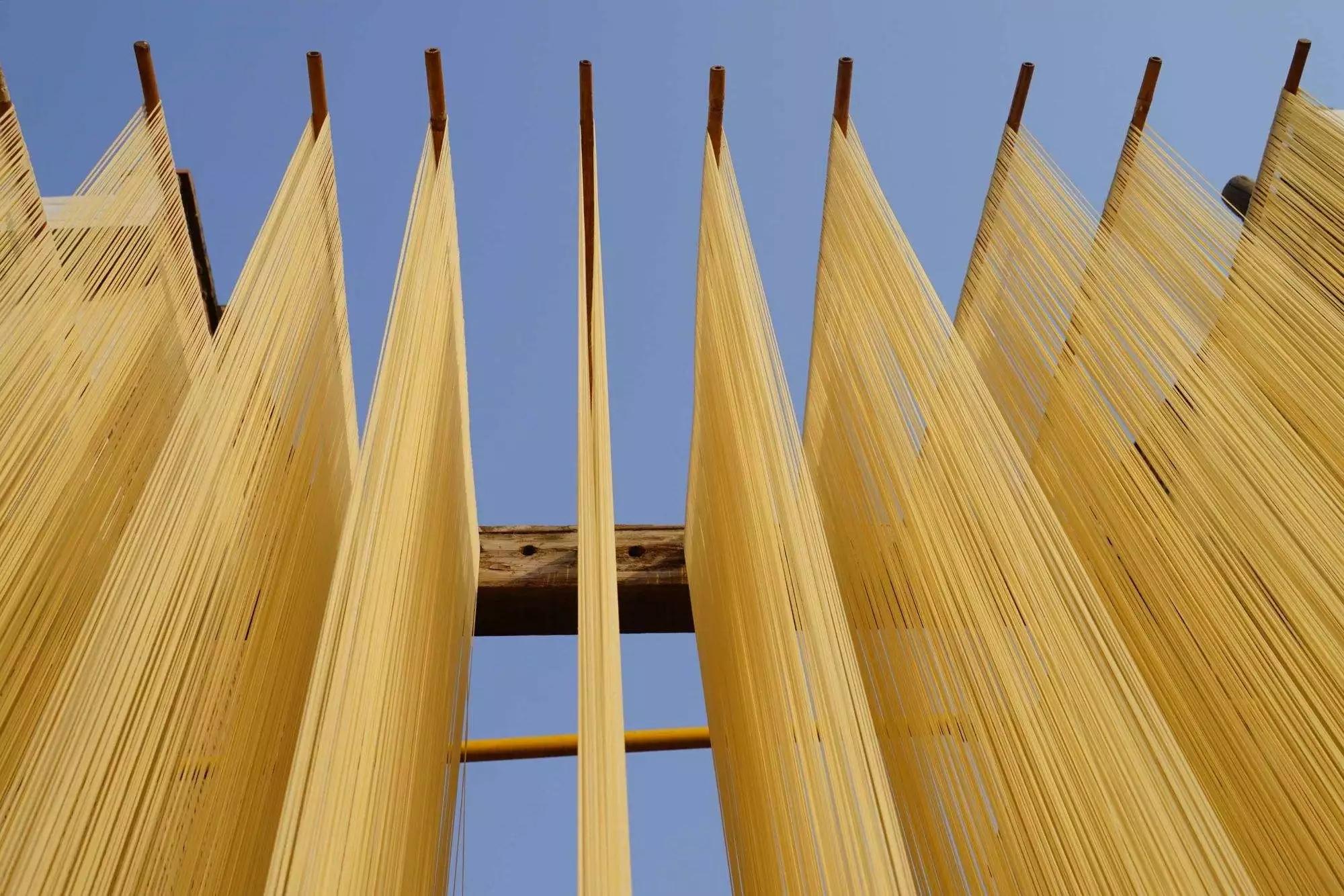 乡村创业前景怎么样,乡村创业如何起步