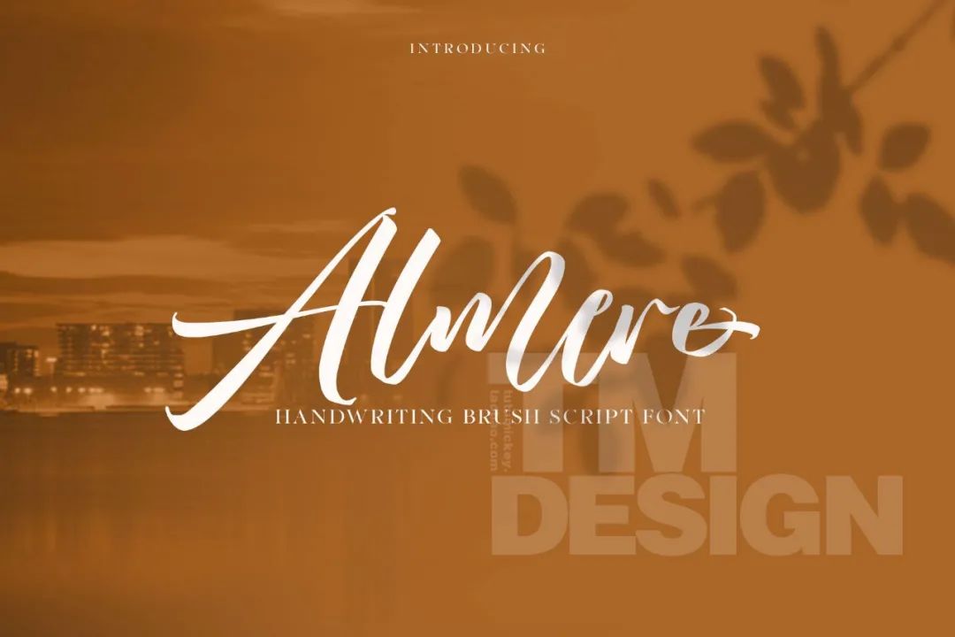 6款极致优雅手写字体,十大经典英文手写字体