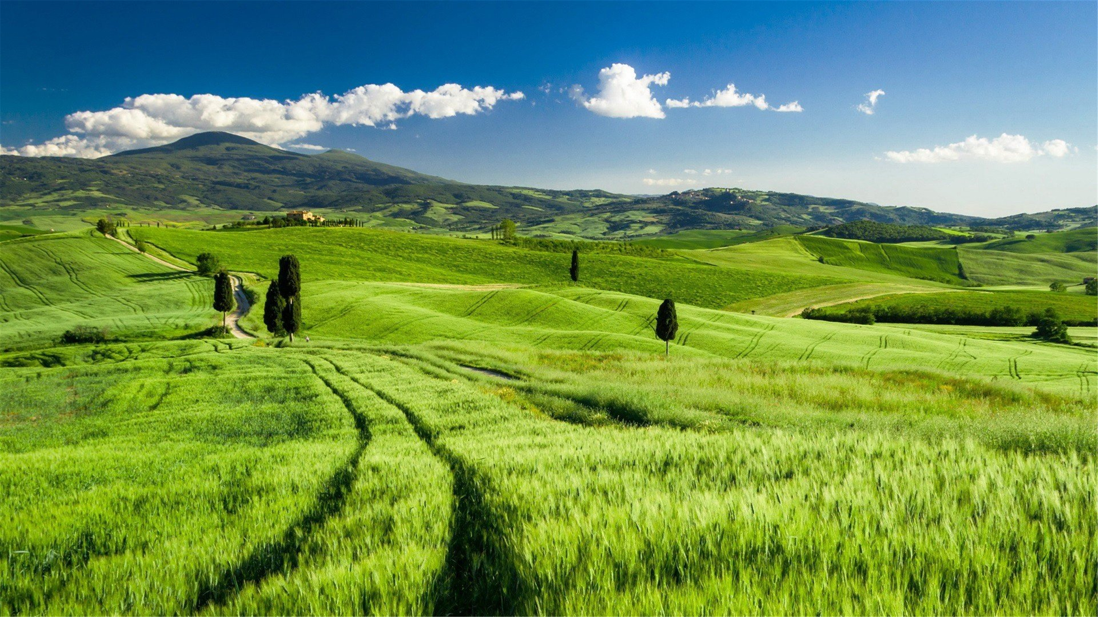 高清壁纸青青草原3840×2160