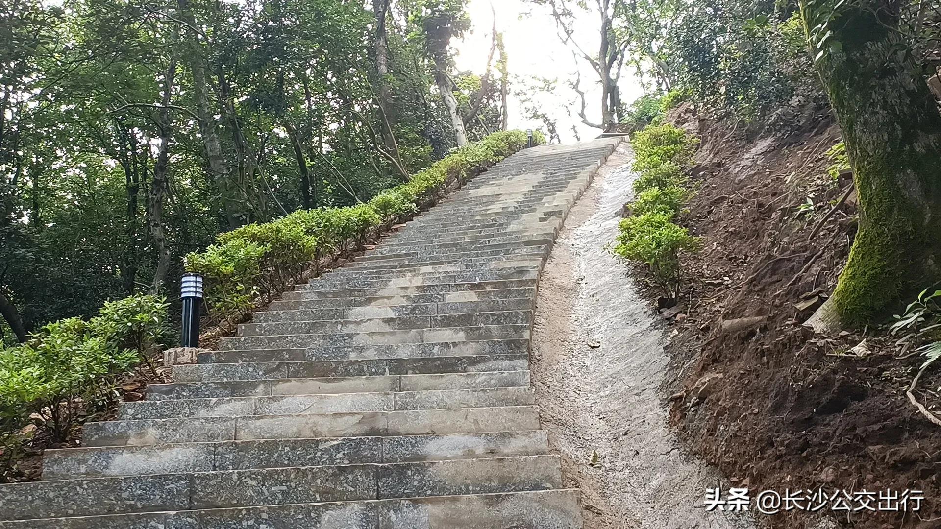 岳麓山从南门爬的攻略,岳麓山东门进南门出旅游攻略