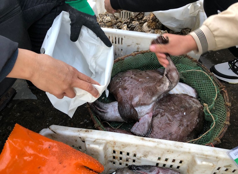 人工养殖鱼哪种鱼能放心吃,市场上的鱼哪些人工不能养殖