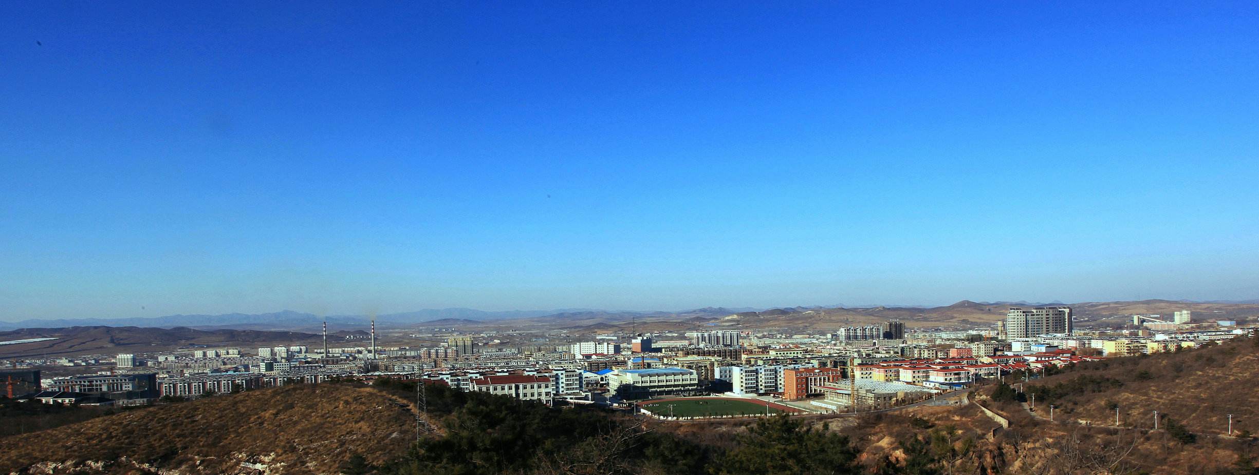 一亿年前的硅化木图片,硅化木是不是树化石