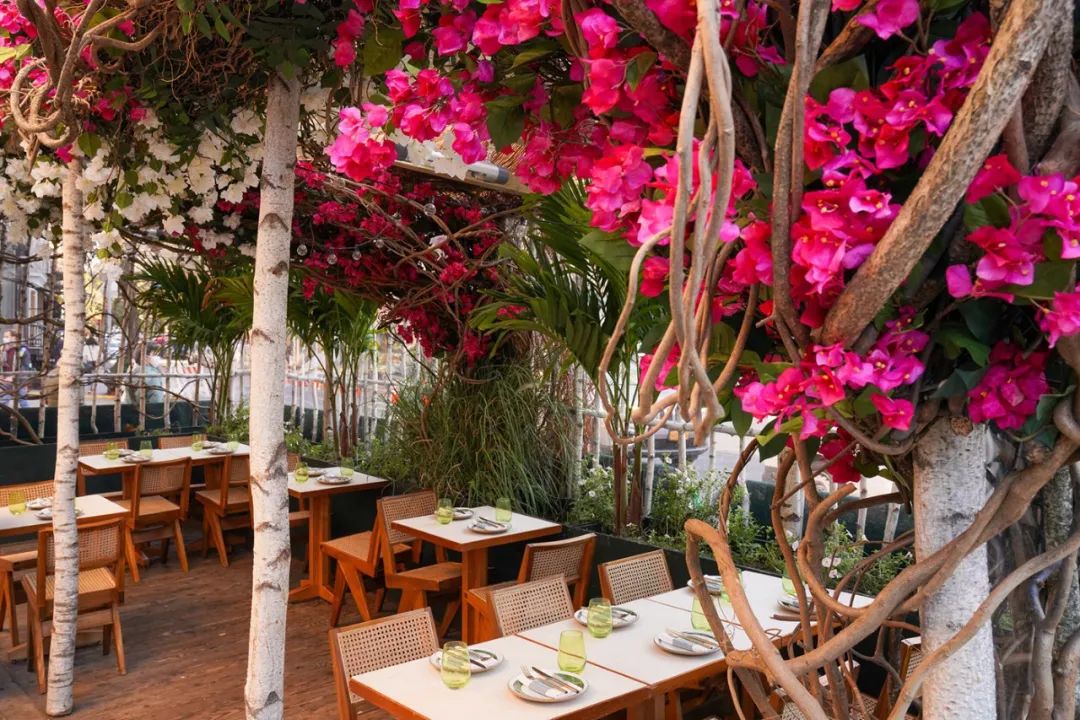 合肥品牌设计全套案例,国内外优秀品牌设计案例欣赏