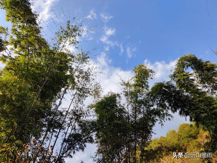 溪流潺潺、白茅飘飘，鲟鱼肥硕、菜蔬新鲜，景谷铁厂河畔的慢时光