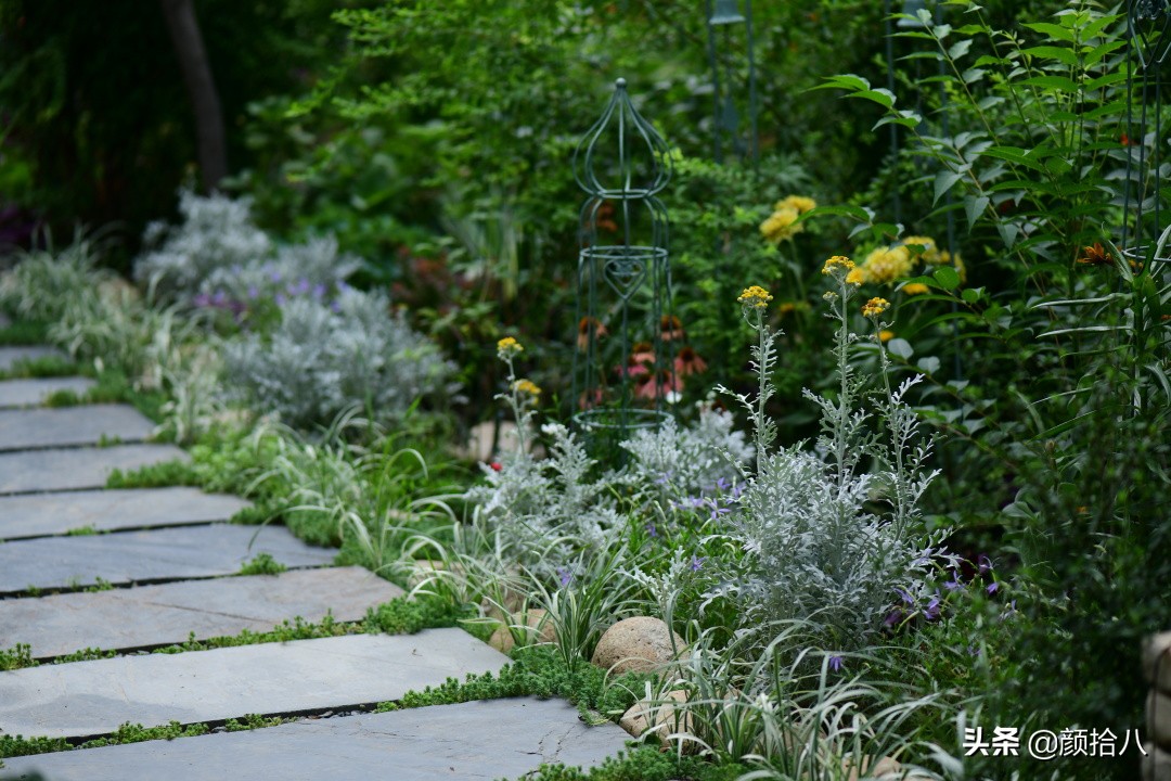 看到你的花园那么惨，我就安心了|园丁