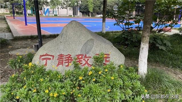 新都东湖中学怎么样,新都东湖中学今年招生简章
