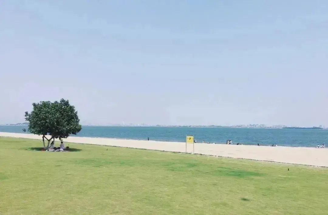 赶海圣地厦门,厦门周边赶海的最佳地点
