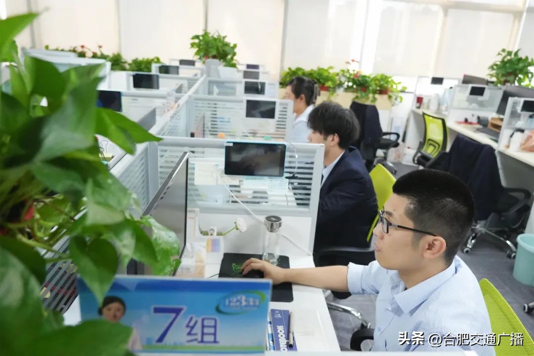 报名人数不断增长！合肥拿出20万个岗位的背后...