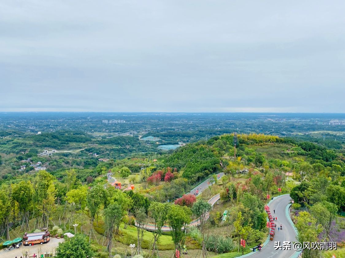 成都连续13年获得最具幸福感城市,成都最具幸福感城市