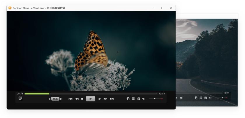 那些年，我们用过最好的视频*放播**器