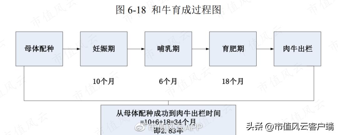 上市前突击分红是什么意思,上市前突击分红6个亿