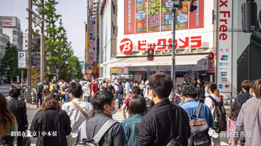 365张照片回顾,365张相片