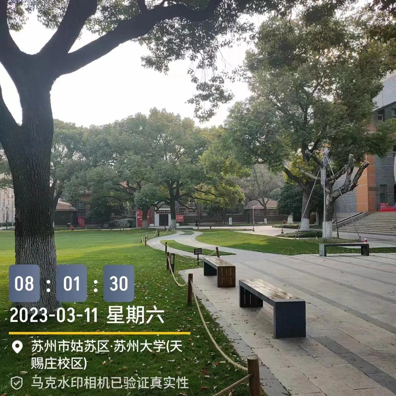 梅花淡淡香——记苏州大学“国培”有感