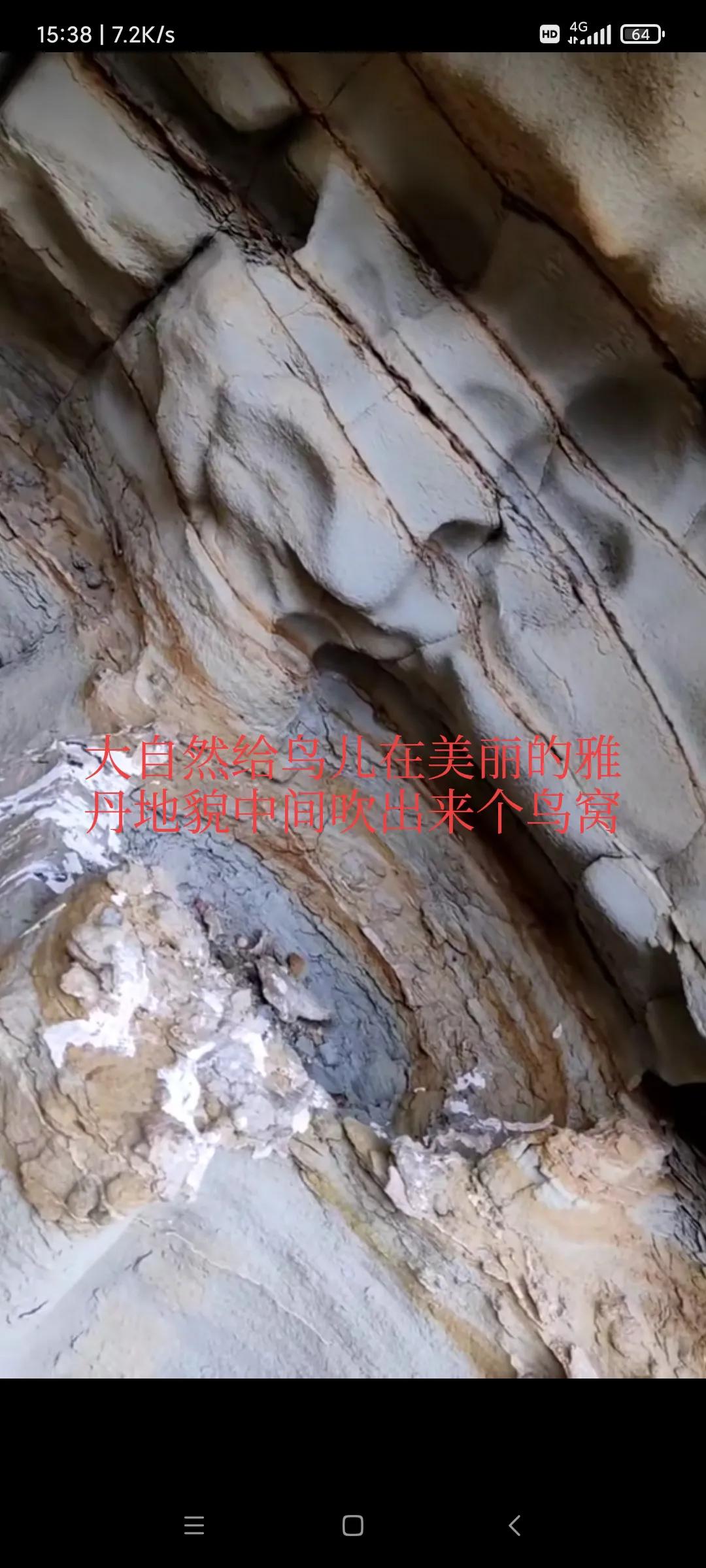 去戈壁捡石头,新疆戈壁捡石头