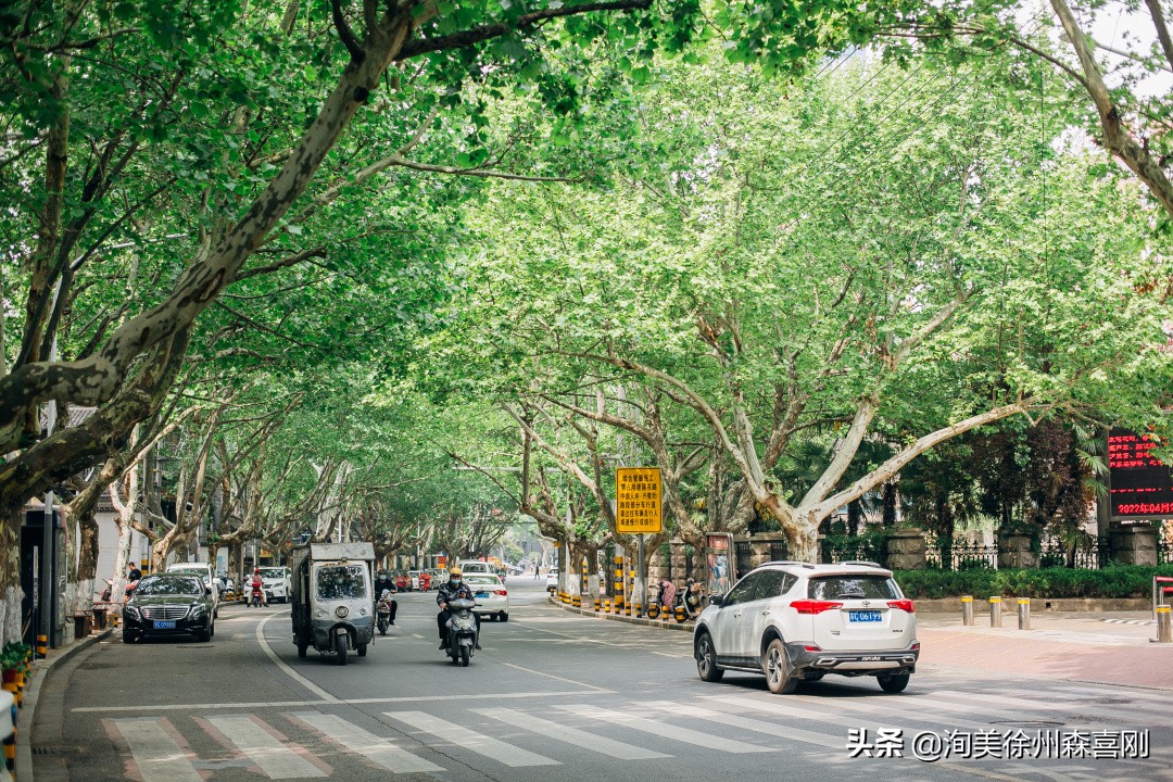 我在校园里的童年,我在小学的快乐时光