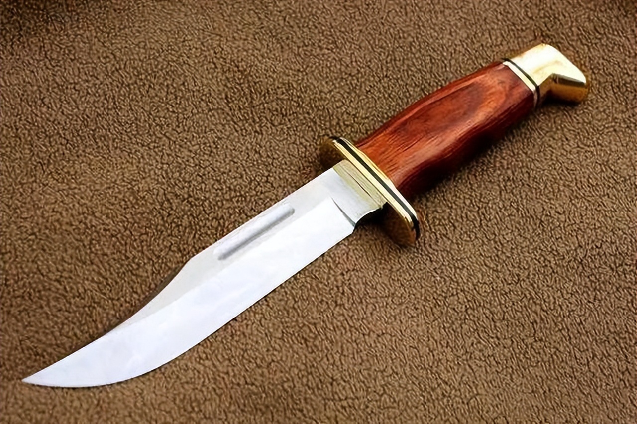 2007年弗吉尼亚理工大学枪击案,美国弗吉尼亚理工大学枪击案档案