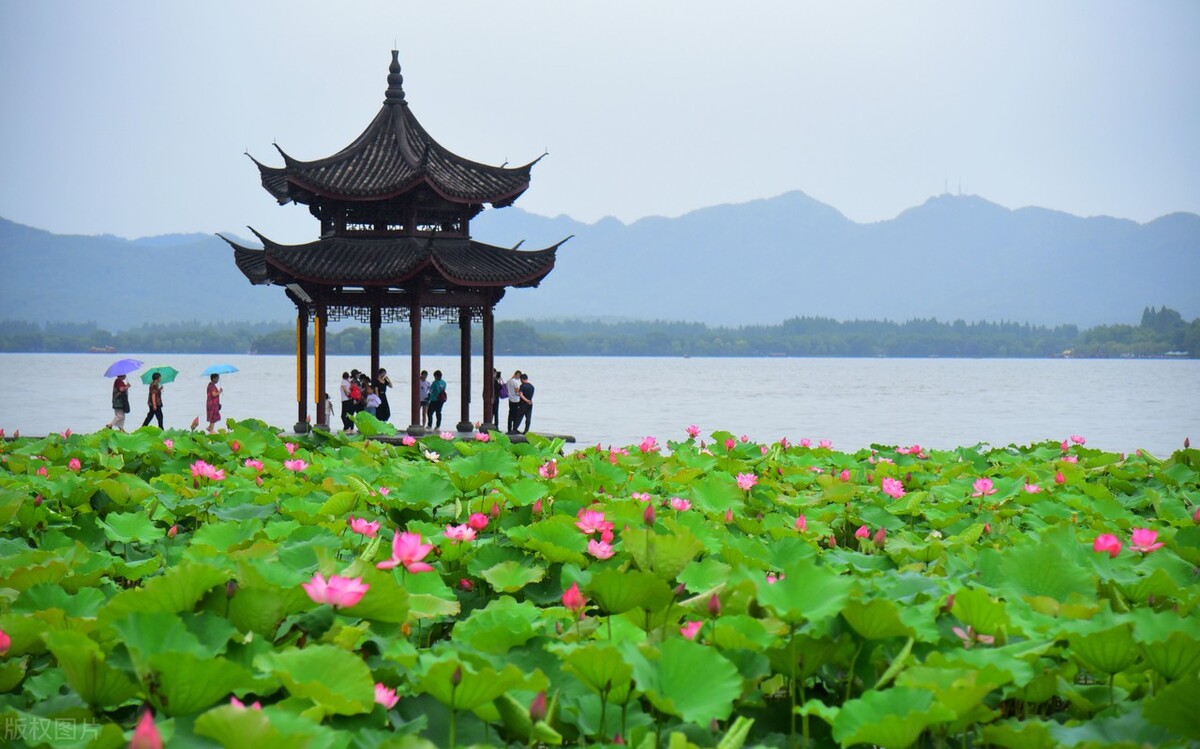 去西湖怎么玩最轻松,西湖1小时游玩攻略