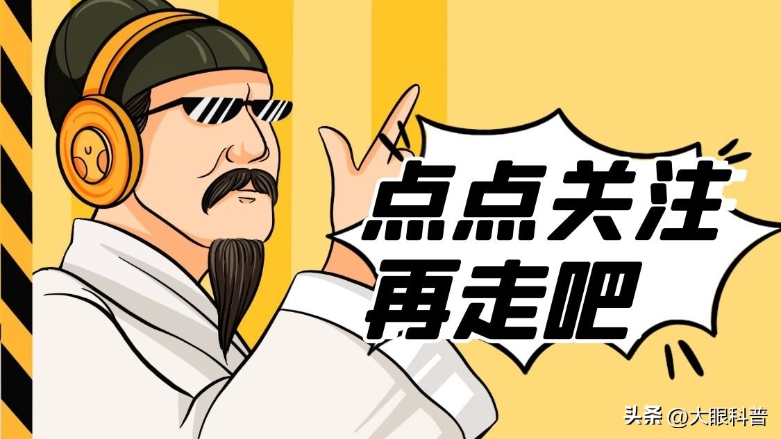 盘点一眼想象不到的巨型动物,动物界中战斗力最强的十种动物