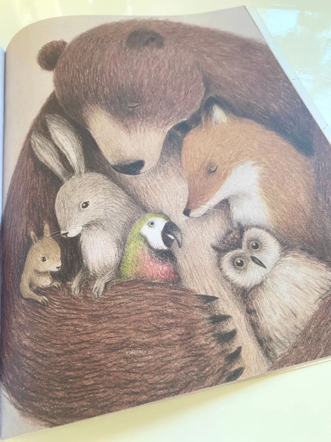 网红书推荐励志,网红推荐的书值得读吗