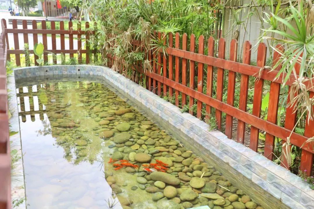 华师中旭学校是公立还是私立,华东师范大学附属中旭学校