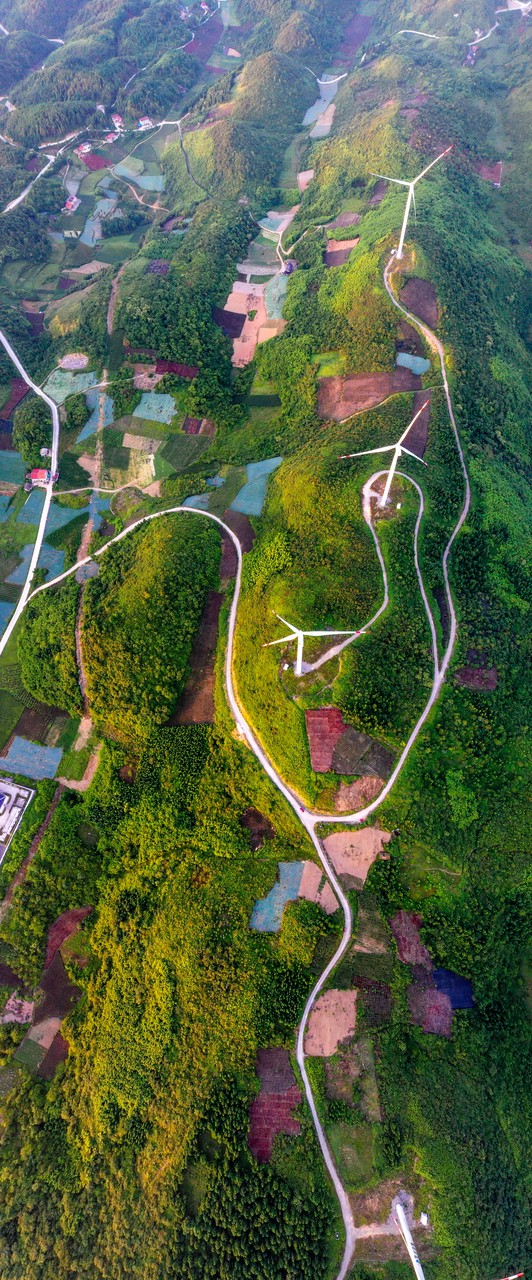 万州思念,万州回忆过去