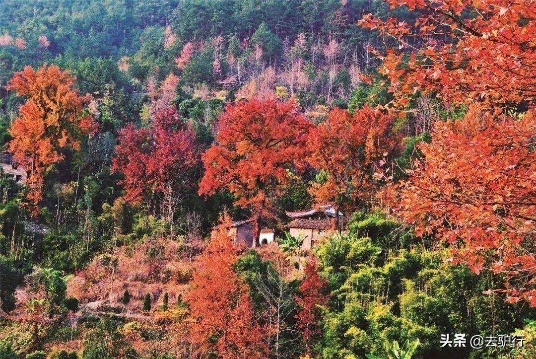 最值得去的10个小众旅游地方,2022年旅游小众地方推荐