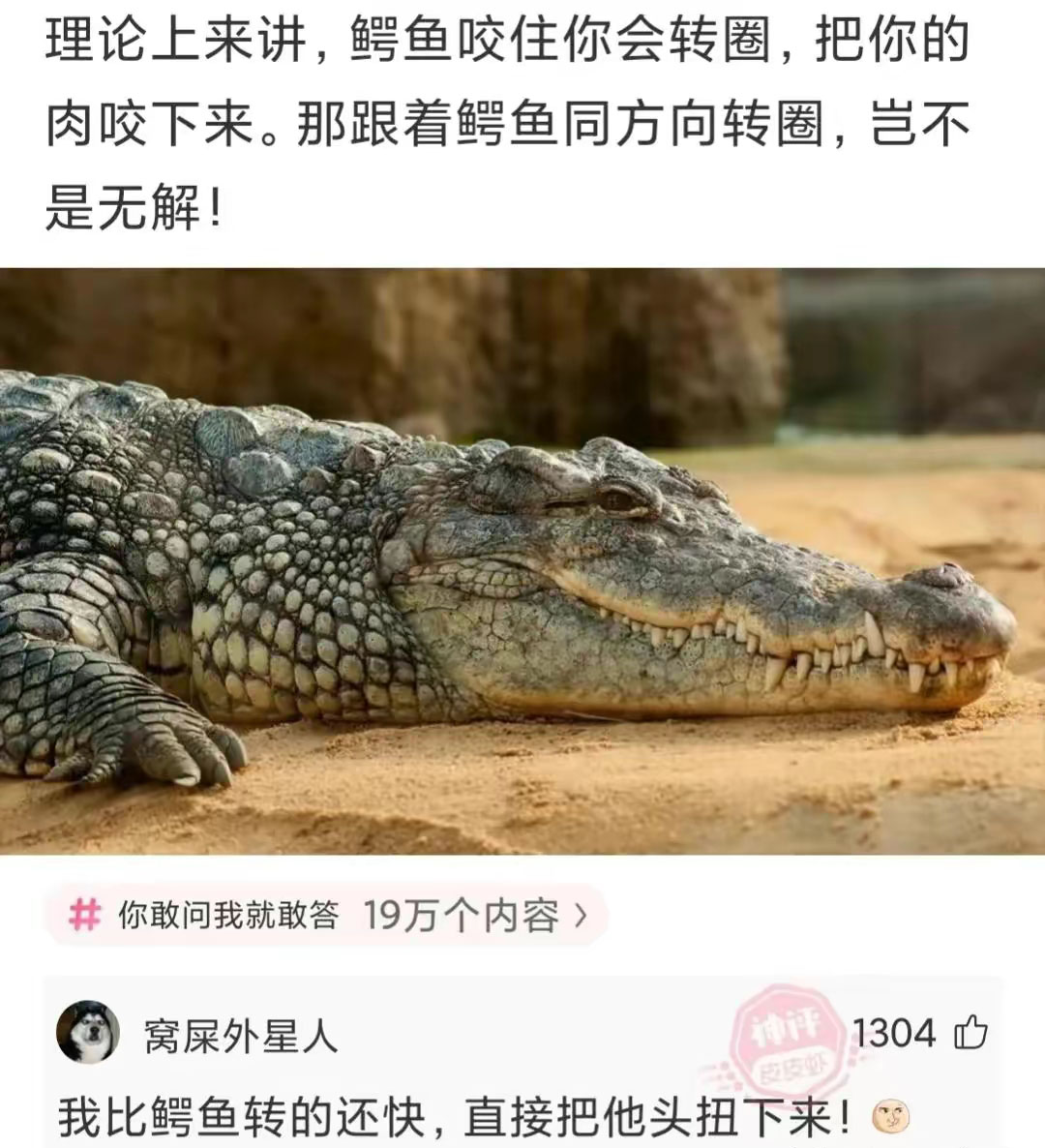 精选搞笑图片与搞笑段子绝对爆笑,谁才是真正的高手搞笑图片