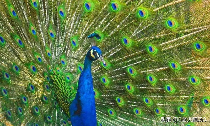 创业致富赚钱的秘密,创业有哪些小秘密