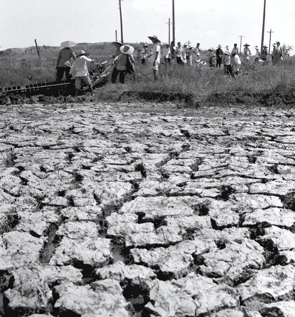 红旗渠的修建削平了1250个山头,红旗渠的修建削平了多少山头